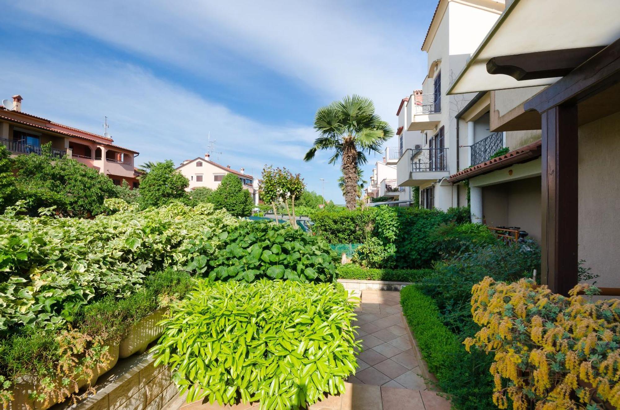 Apartment Branko